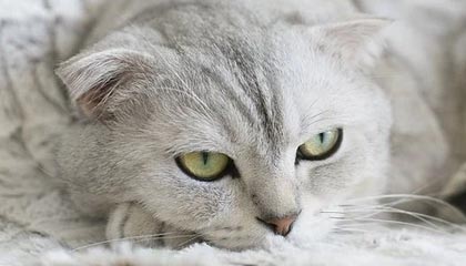 蓬莱广州高端伴游模特招聘网,广州招聘伴游吗 公司内部直招绝对可以放心带着那颗想要赚钱的心选择了我这是一件正确的事